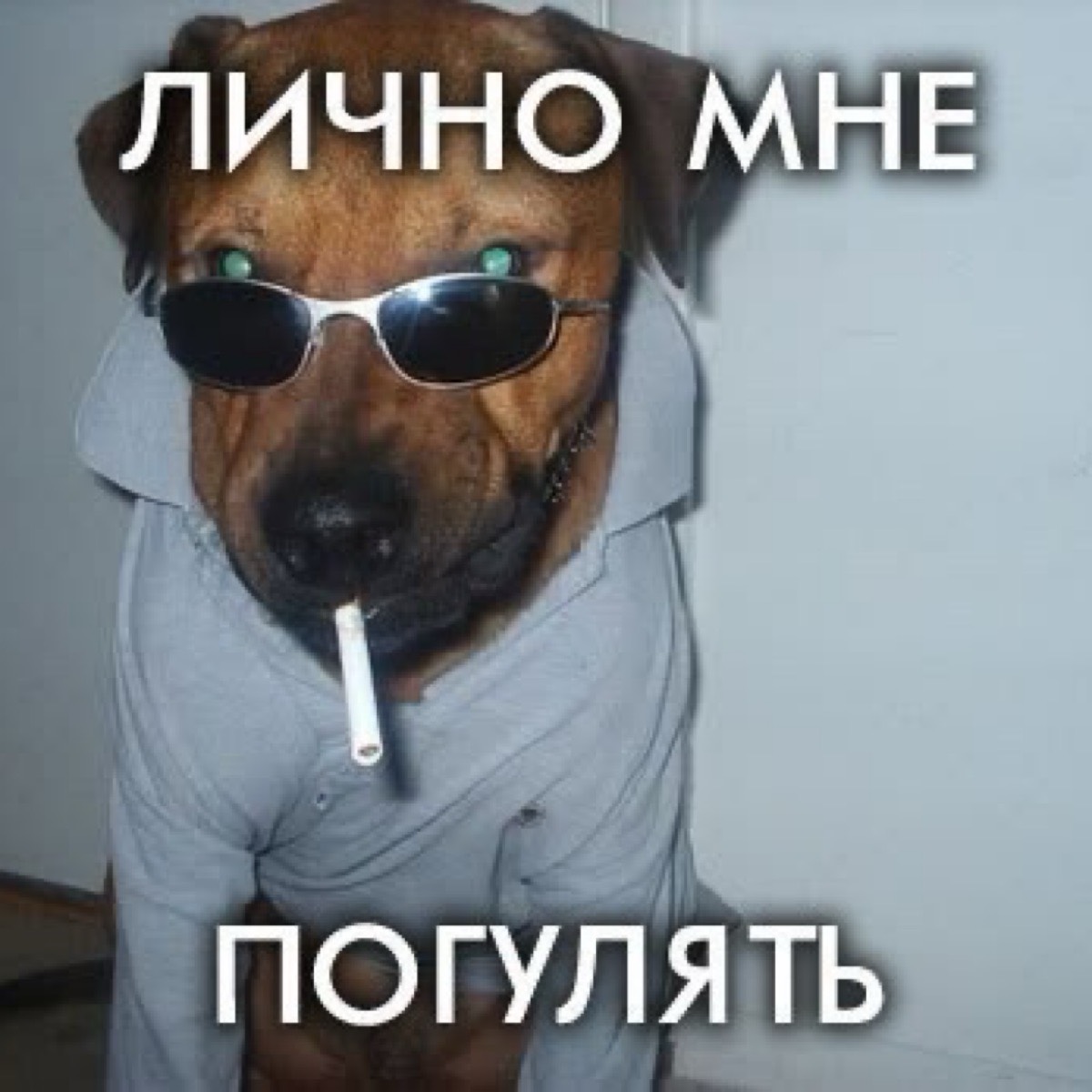 Юрий Савицкий | Сетка — социальная сеть от hh.ru