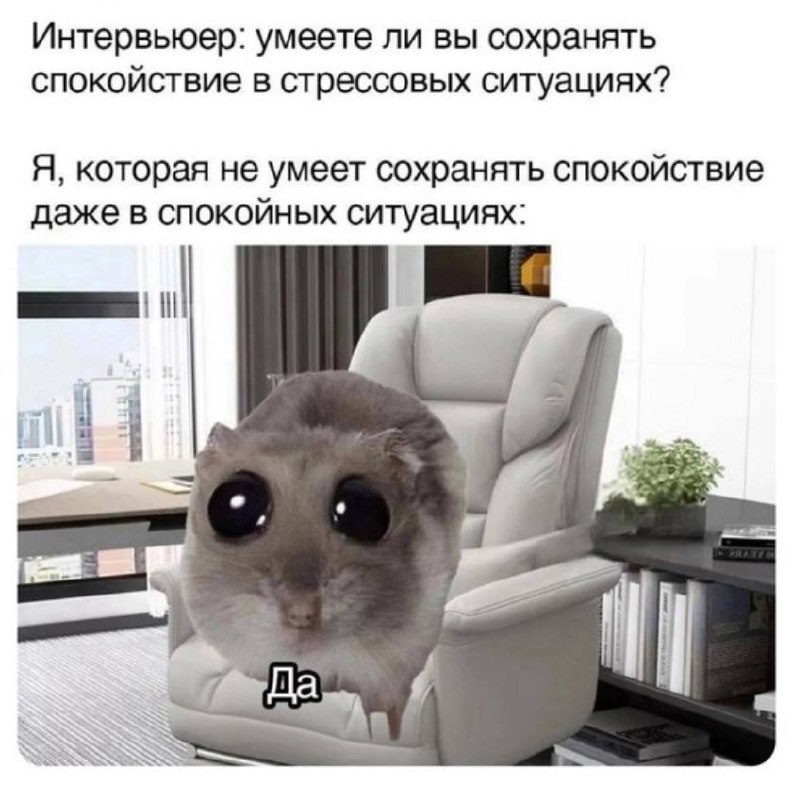 Как пройти первое интервью с рекрутером и не слить шанс
Встреча с рекрутером — это не экзамен, а возможность продать себя заказчику через посредника | Сетка — социальная сеть от hh.ru