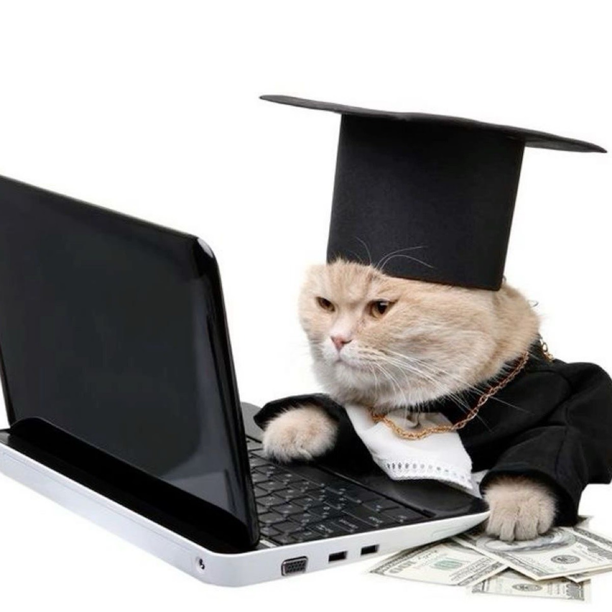 Зумер в графике 5/2