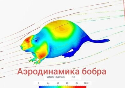 1 пост 08.08.2025 | Сетка — социальная сеть от hh.ru