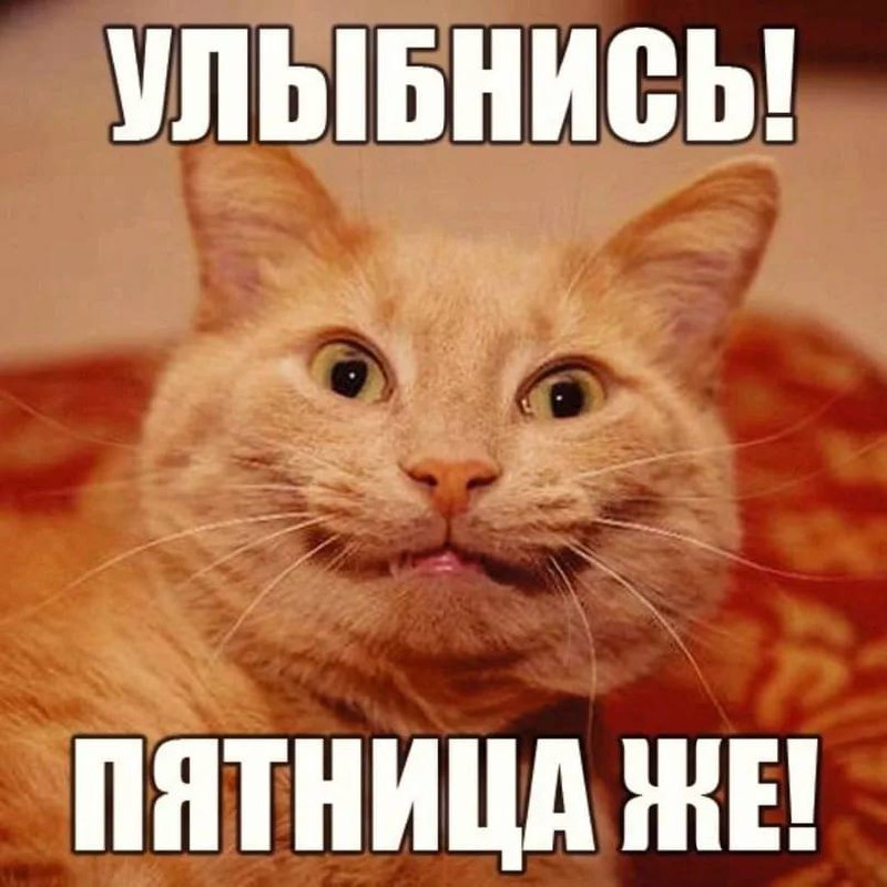 Пятница - любимый день недели! Позади - продуктивные 5 дней, а впереди - время для себя 🫶
🌀 Фокус дня: закрытие гештальтов и финал недели
Вопрос: Что я хочу оставить в этой неделе, а что взять с собой... | Сетка — социальная сеть от hh.ru