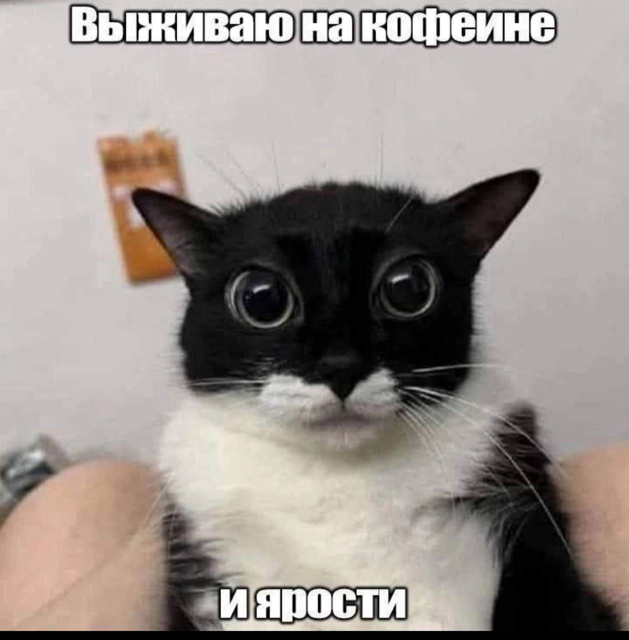 #пятничное
Одна неделя. 5 городов. 10 перелётов. 100500 встреч и новых знакомств.
Всем продуктивной пятницы.
Жду выходных:) | Сетка — социальная сеть от hh.ru