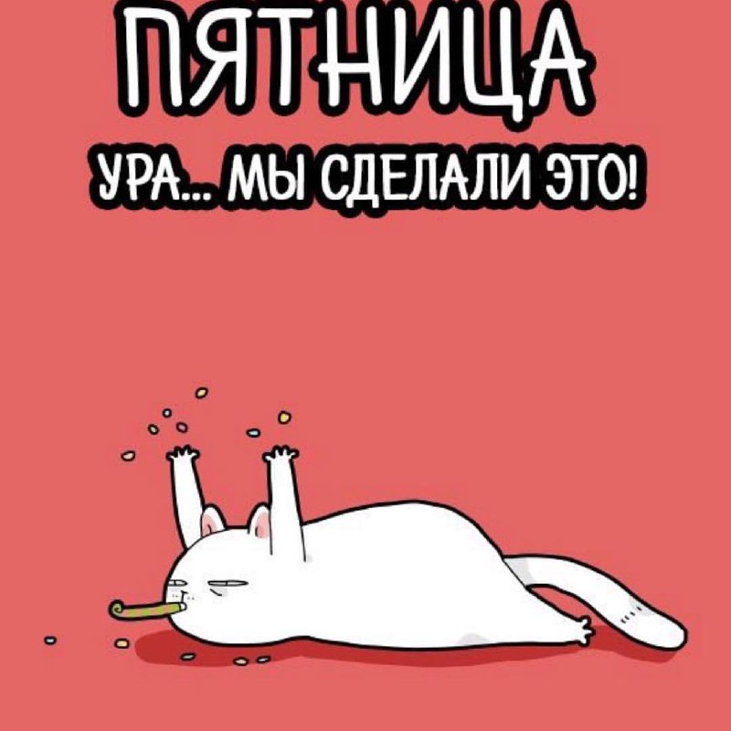 Дождались! | Сетка — социальная сеть от hh.ru
