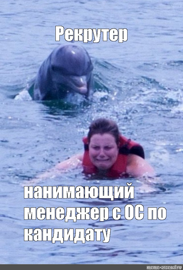 Эт я, в который раз докапываюсь до нанимающего менеджера по ОС 😇🐬 | Сетка — социальная сеть от hh.ru