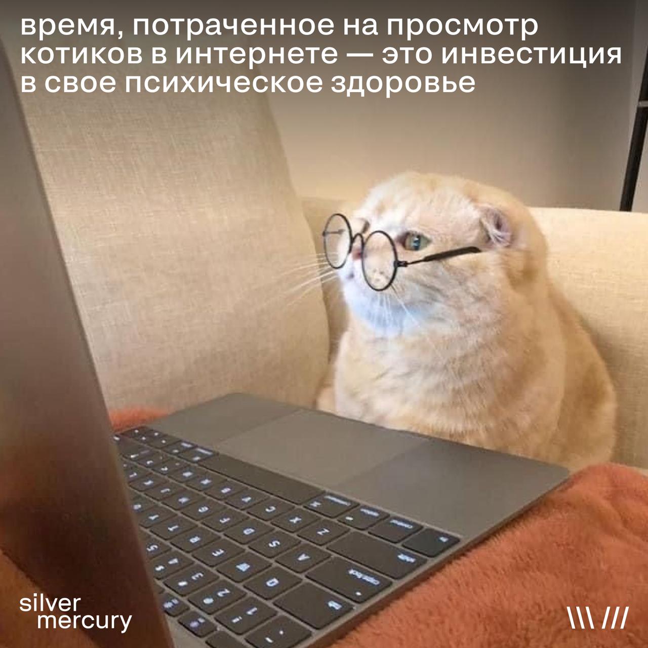 Ну наконец-то пятница, коллеги
Не забываем про свою менталку: вам еще мир покорять своими проектами, а нам — оценивать в новом сезоне. Поэтому не нагружаемся психически, смеемся хехически 😼
пы.сы | Сетка — социальная сеть от hh.ru