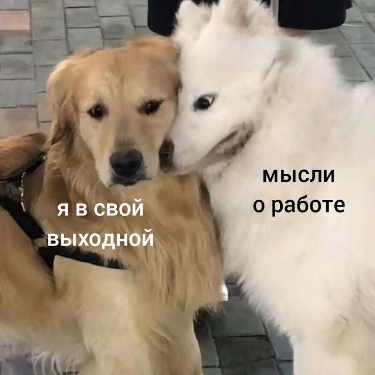 Труженики! 🐝
Пятница! Доделываем задачки и уходим на выходные без мыслей о работе | Сетка — социальная сеть от hh.ru