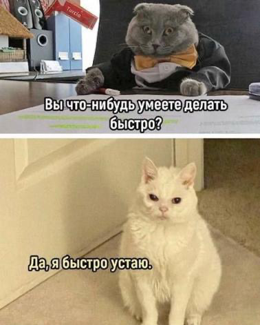 И другие soft skills 😂 | Сетка — социальная сеть от hh.ru