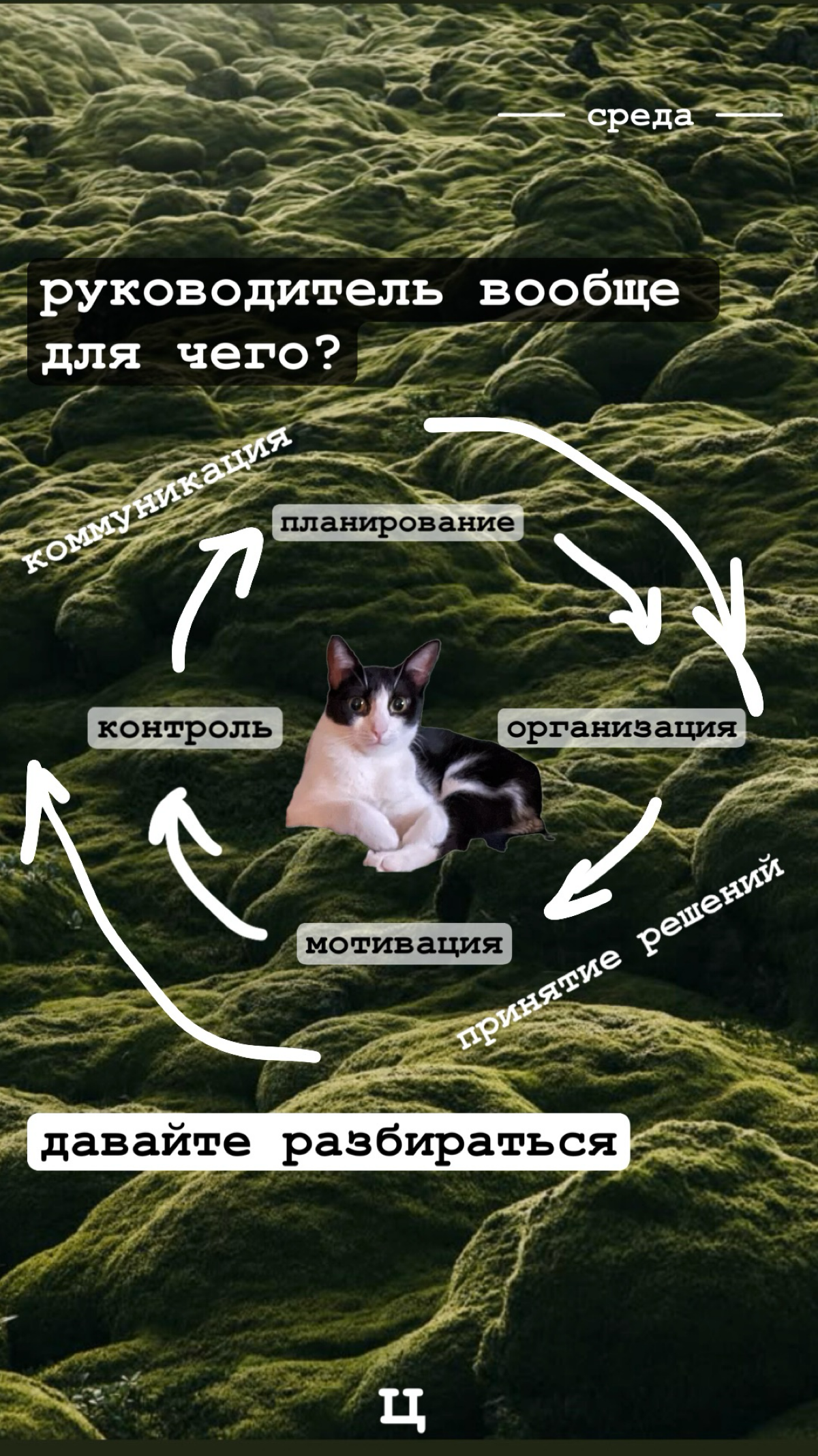 Мысли дня | Сетка — социальная сеть от hh.ru