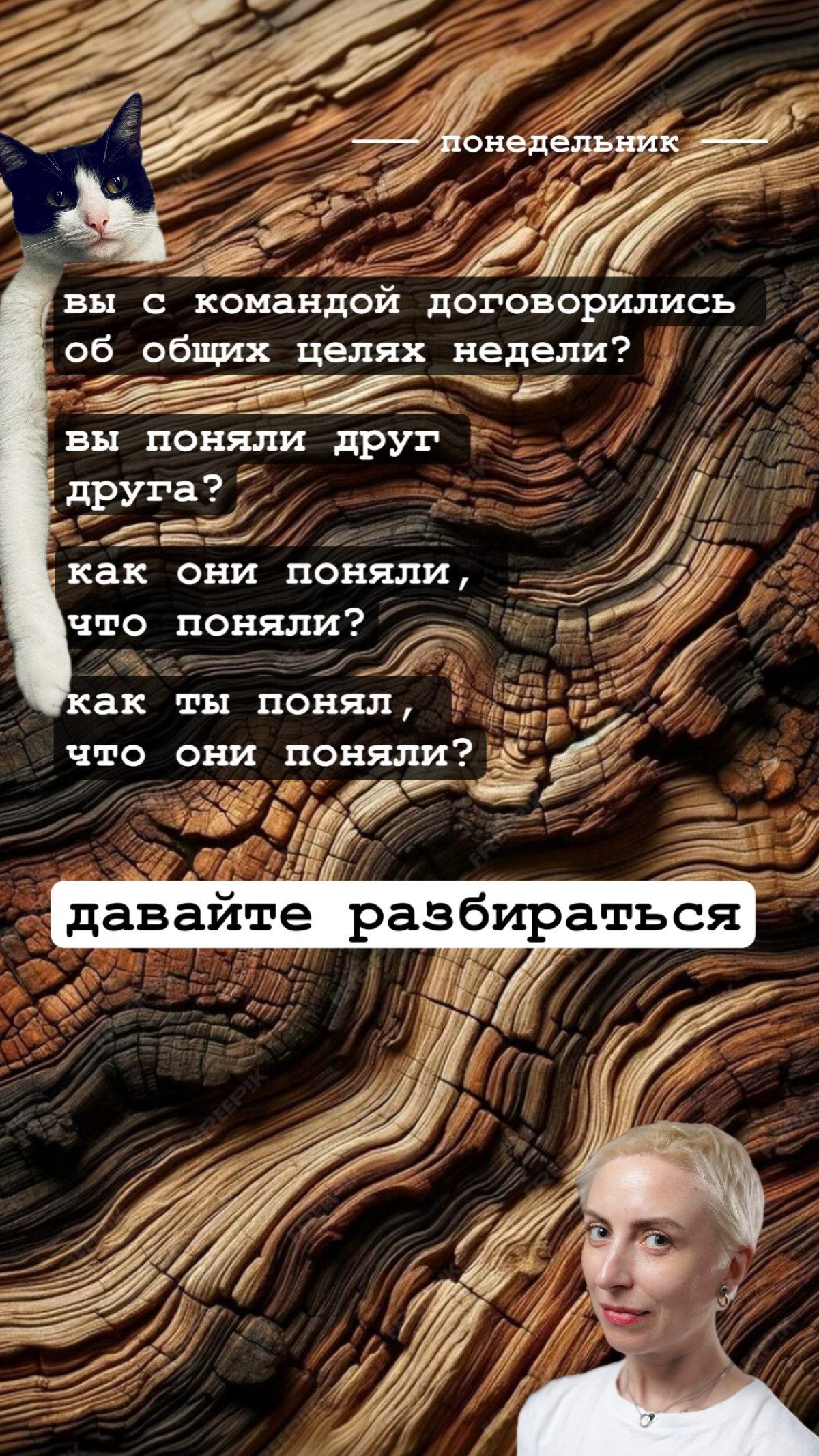 Мысли дня | Сетка — социальная сеть от hh.ru