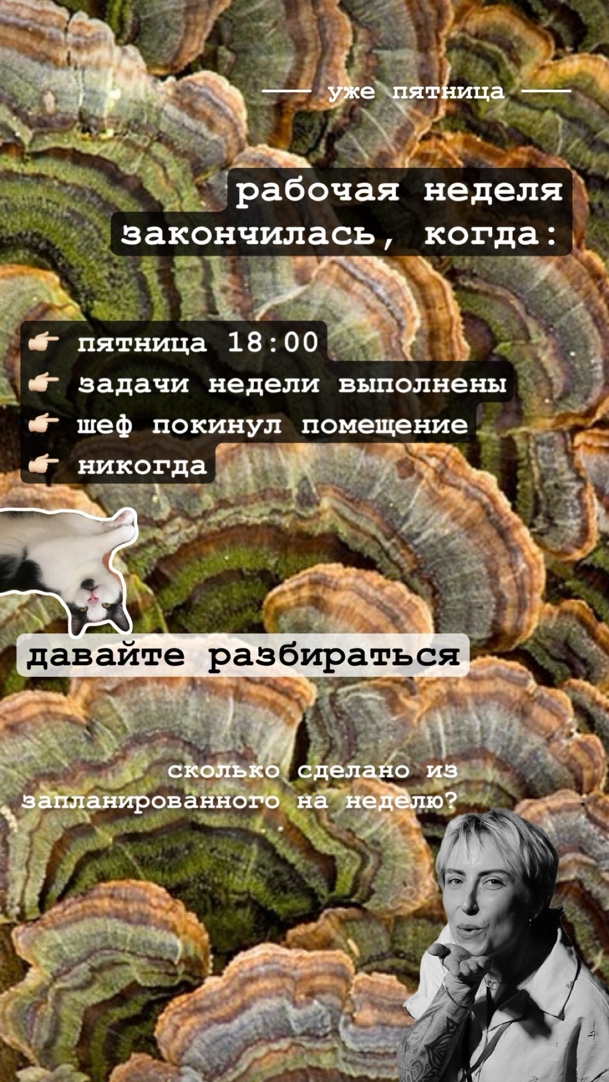 Мысли дня | Сетка — социальная сеть от hh.ru