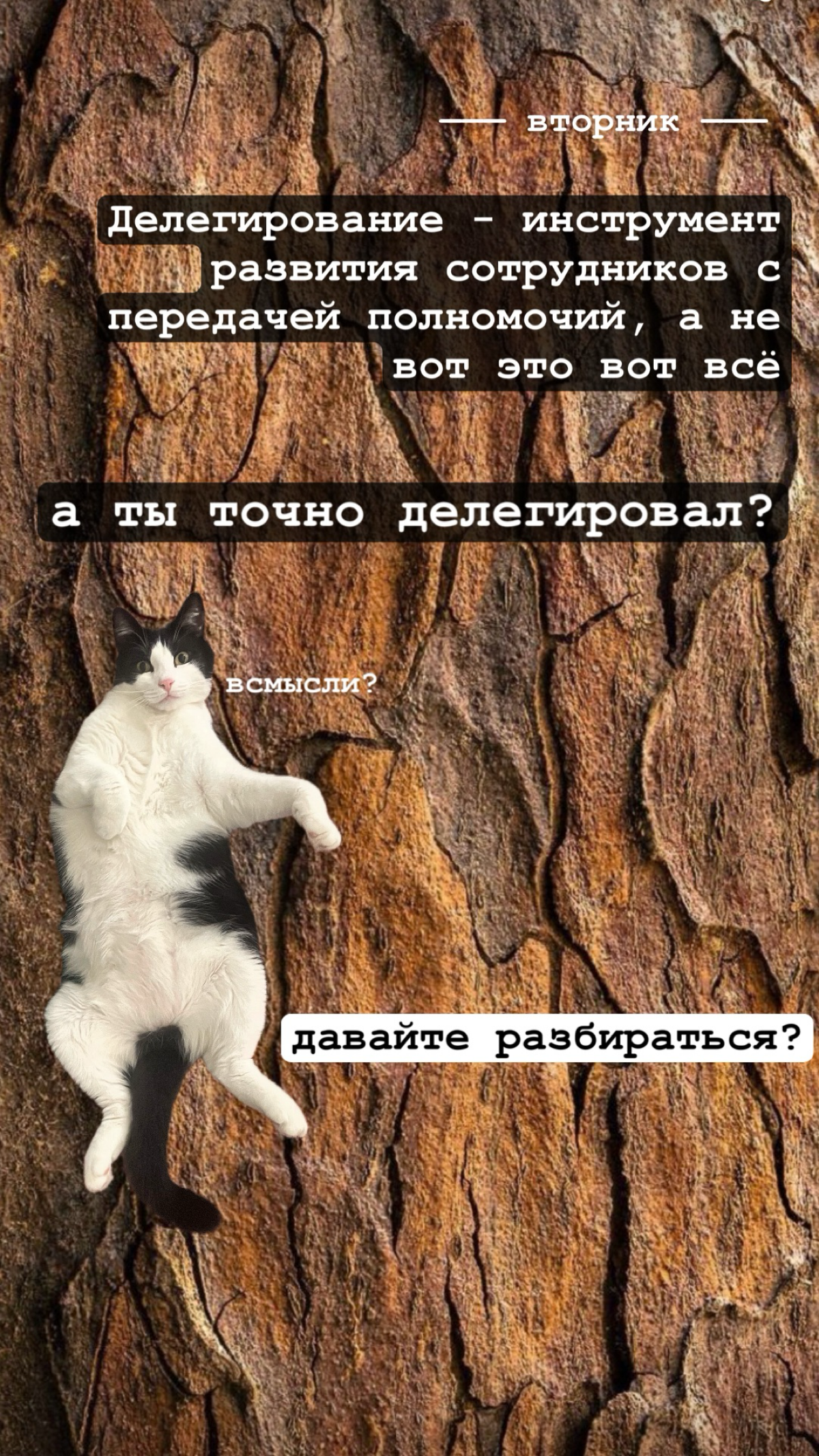 Мысли дня | Сетка — социальная сеть от hh.ru