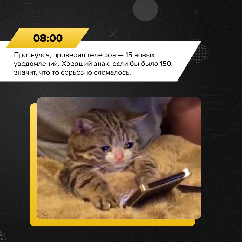 Один день из жизни аналитика ИБ
📢 Команда РТ-ИБ проследила за одним из наших аналитиков и решила рассказать вам о его дне.
Узнали себя? | Сетка — социальная сеть от hh.ru