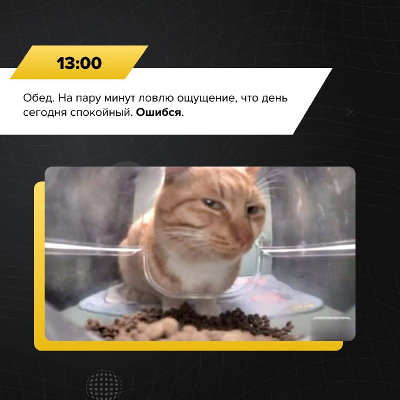 Один день из жизни аналитика ИБ
📢 Команда РТ-ИБ проследила за одним из наших аналитиков и решила рассказать вам о его дне.
Узнали себя? | Сетка — социальная сеть от hh.ru