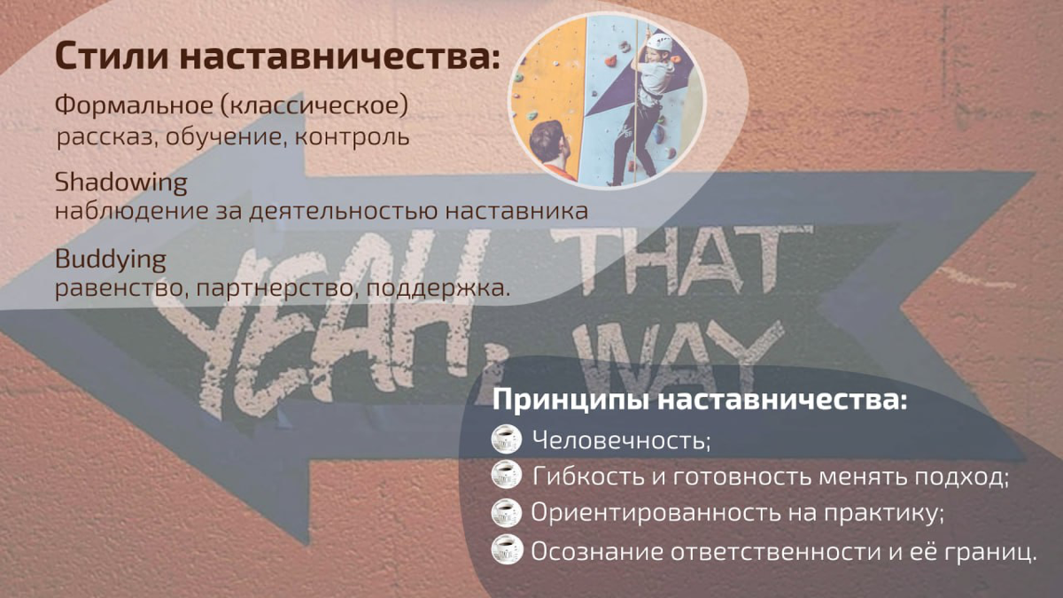 Адаптация  (продолжаем тему). Наставник. | Сетка — социальная сеть от hh.ru