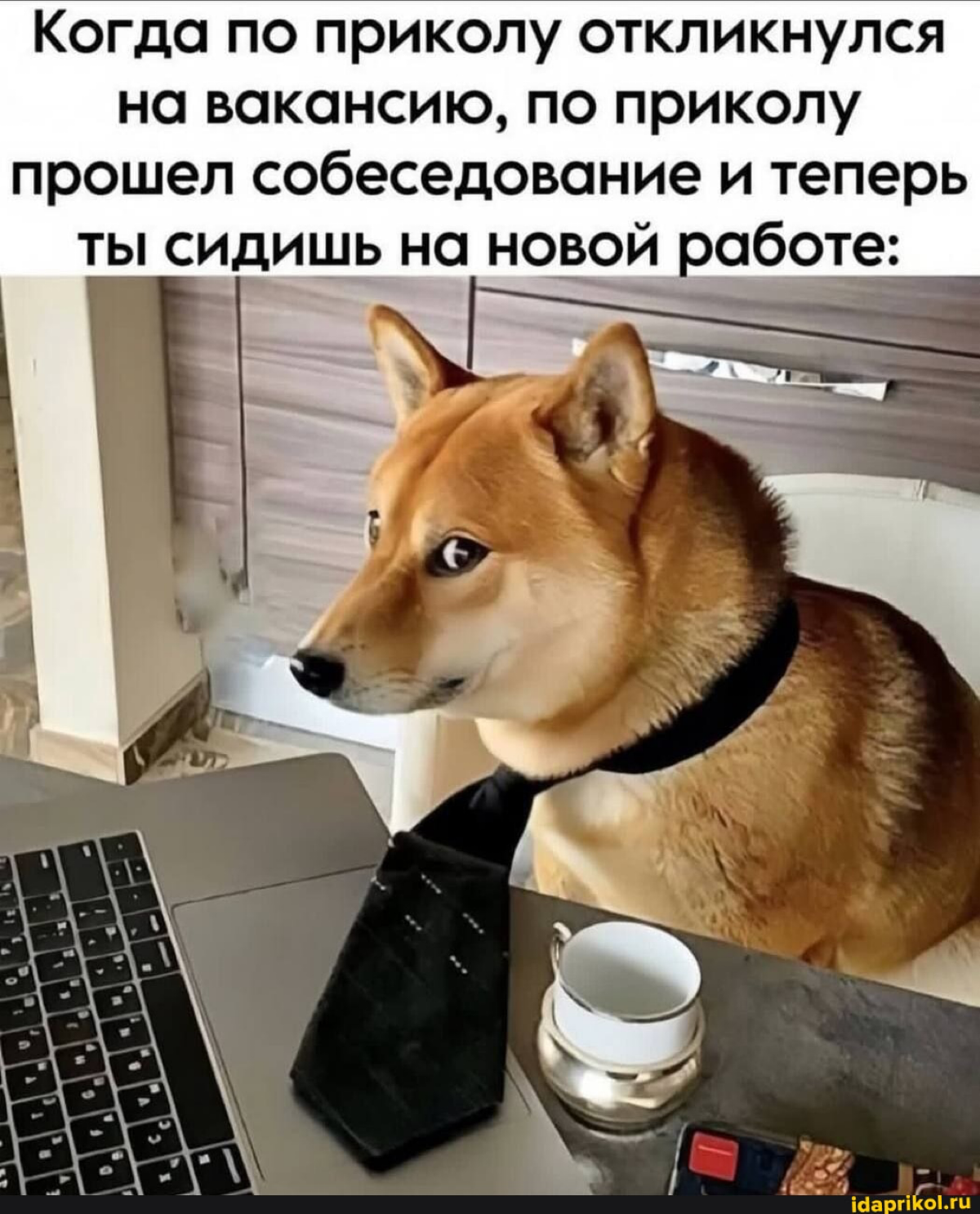 я не договорила!!! | Сетка — социальная сеть от hh.ru