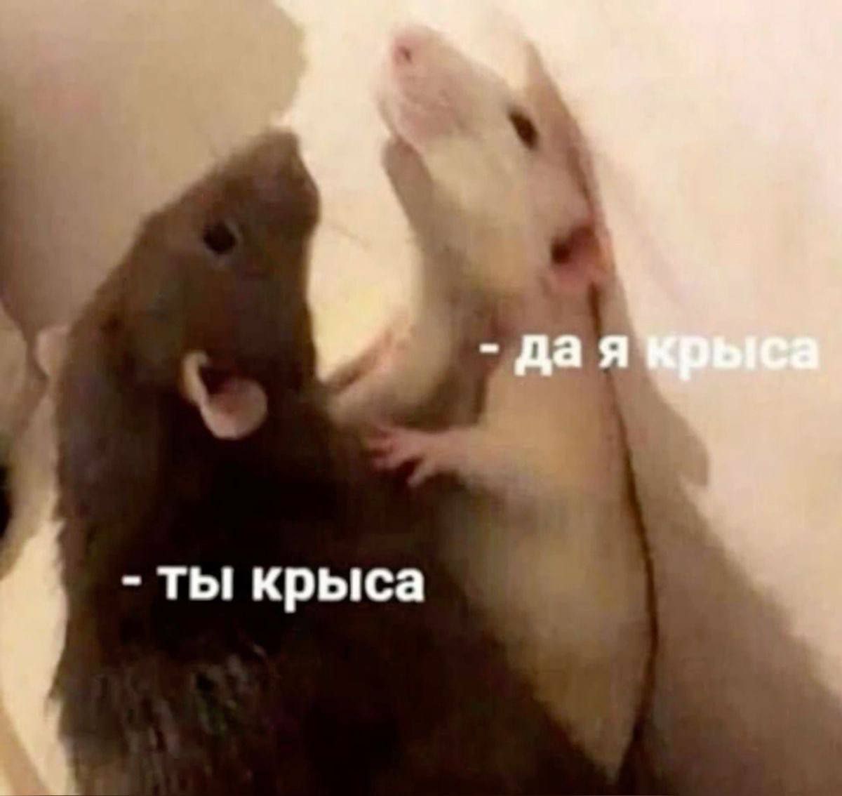 За сплетни можно сесть в тюрьму — за заведомо ложные слухи грозит до 2 лет колонии, напомнили юрист
Если информация не соответствует действительности, это уже клевета — статья 128.1 УК РФ | Сетка — социальная сеть от hh.ru