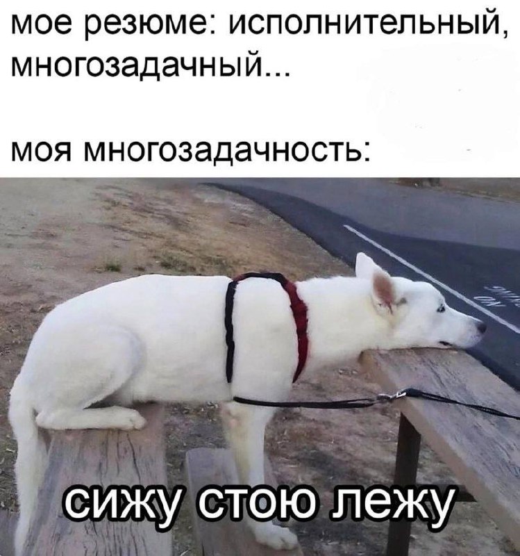 #мемчики Пятничка | Сетка — социальная сеть от hh.ru
