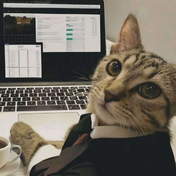 Почему личный бренд разработчика важен
Вы думаете, LinkedIn, Telegram и GitHub — это только для HR? Нет. Это ваша витрина для будущего оффера | Сетка — социальная сеть от hh.ru