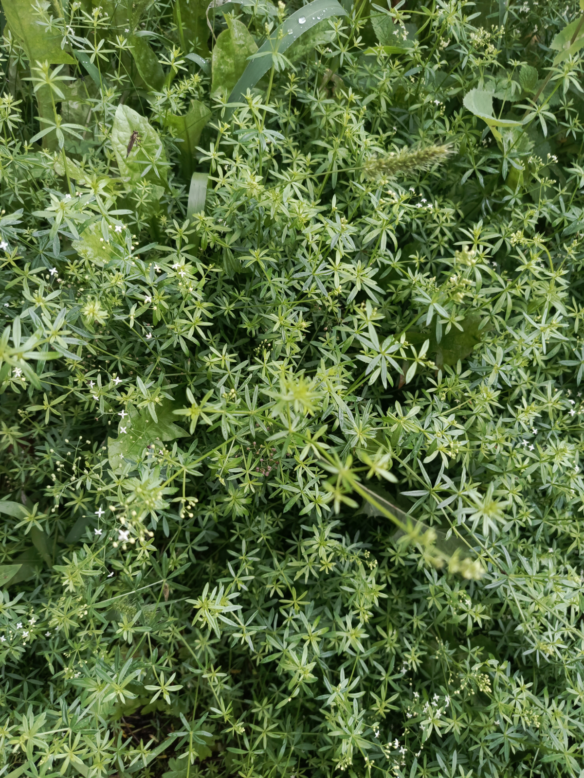 🔅🔅🔅🔅🔅🔅🔅🔅🔅🔅🔅🔅🔅🔅
ПРИВЕТСТВУЮ Вас, МОИ ДОРОГИЕ ПОДПИСЧИКИ! С Вами ВНОВЬ LadyMari, И Я РАДА НАШЕЙ НОВОЙ ВСТРЕЧЕ, СЛОВНО ВЕСЕННЕМУ СОЛНЦУ! 🌿🌿🌿🌿🌿🌿🌿🌿🌿🌿🌿🌿🌿🌿🌿🌿🌿🌿🌿🌿  
❤️Сегодня, вдыхая полной грудью свежий возд... | Сетка — социальная сеть от hh.ru