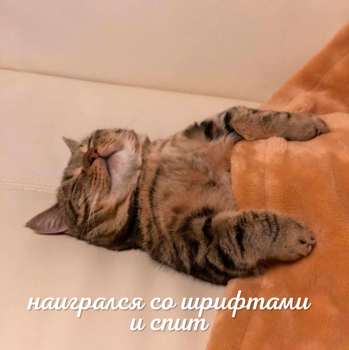 Клиент считает, что знает лучше дизайнера 📎 | Сетка — социальная сеть от hh.ru