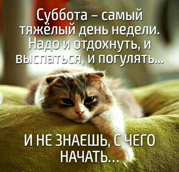 А у вас какие планы на субботу? | Сетка — социальная сеть от hh.ru