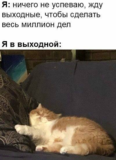 Суббота - отдыхаем с умом!
Фокус дня: личное развитие и время для себя
Вопрос: Что я давно хотела сделать для себя, но откладывала?
Практика:
Выдели 2 часа на «инвестицию в себя» - книга, обучение, пр... | Сетка — социальная сеть от hh.ru