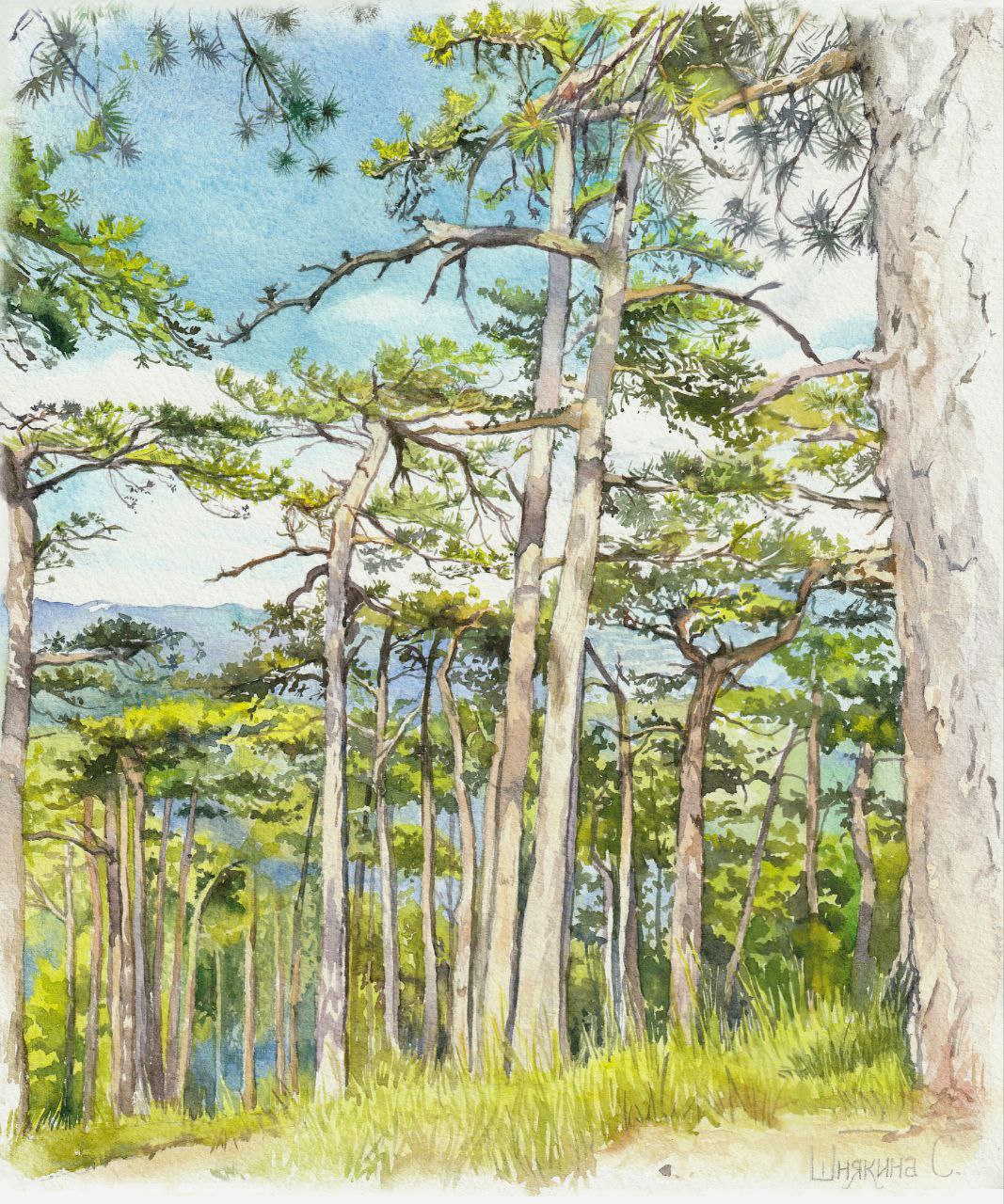 Это прекрасное место увидела во время подъема на гору Ай-Петри. Я в восхищение от красоты и кристальной чистоты воздуха горного леса! Рада,что могу поделиться этими ощущениями хотя бы через картину | Сетка — социальная сеть от hh.ru