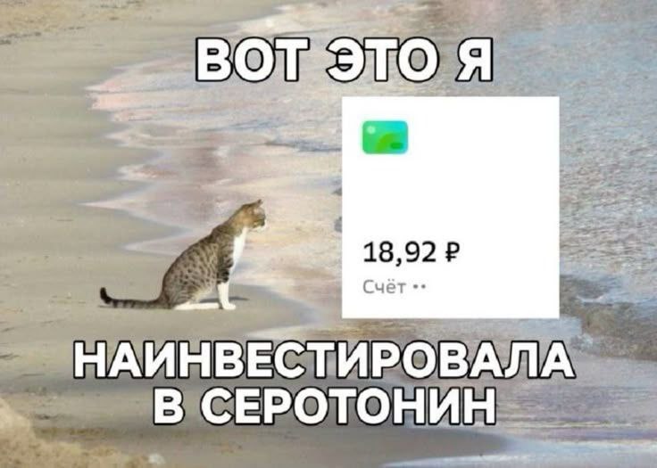 нашла смешнявки про серотонин!!
а это уже повод вспомнить:
🔸как стать счастливее?
один из моих первых постов, а ведь ему уже почти год 🥹
🔸про сезонную депрессию, серотонин и его накопление
🥰#мемы@abou... | Сетка — социальная сеть от hh.ru