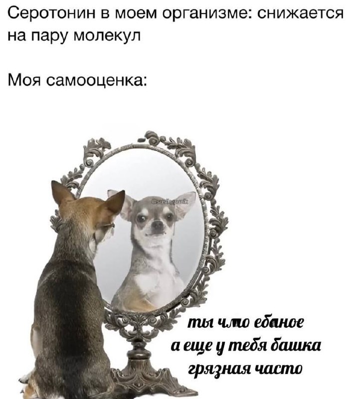 нашла смешнявки про серотонин!!
а это уже повод вспомнить:
🔸как стать счастливее?
один из моих первых постов, а ведь ему уже почти год 🥹
🔸про сезонную депрессию, серотонин и его накопление
🥰#мемы@abou... | Сетка — социальная сеть от hh.ru