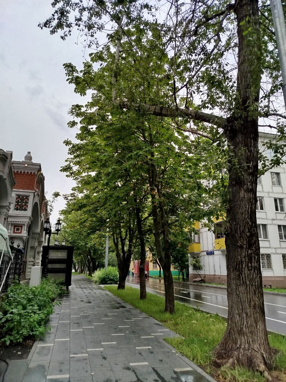 Атмосфера моей Москвы летом-25🥰 | Сетка — социальная сеть от hh.ru