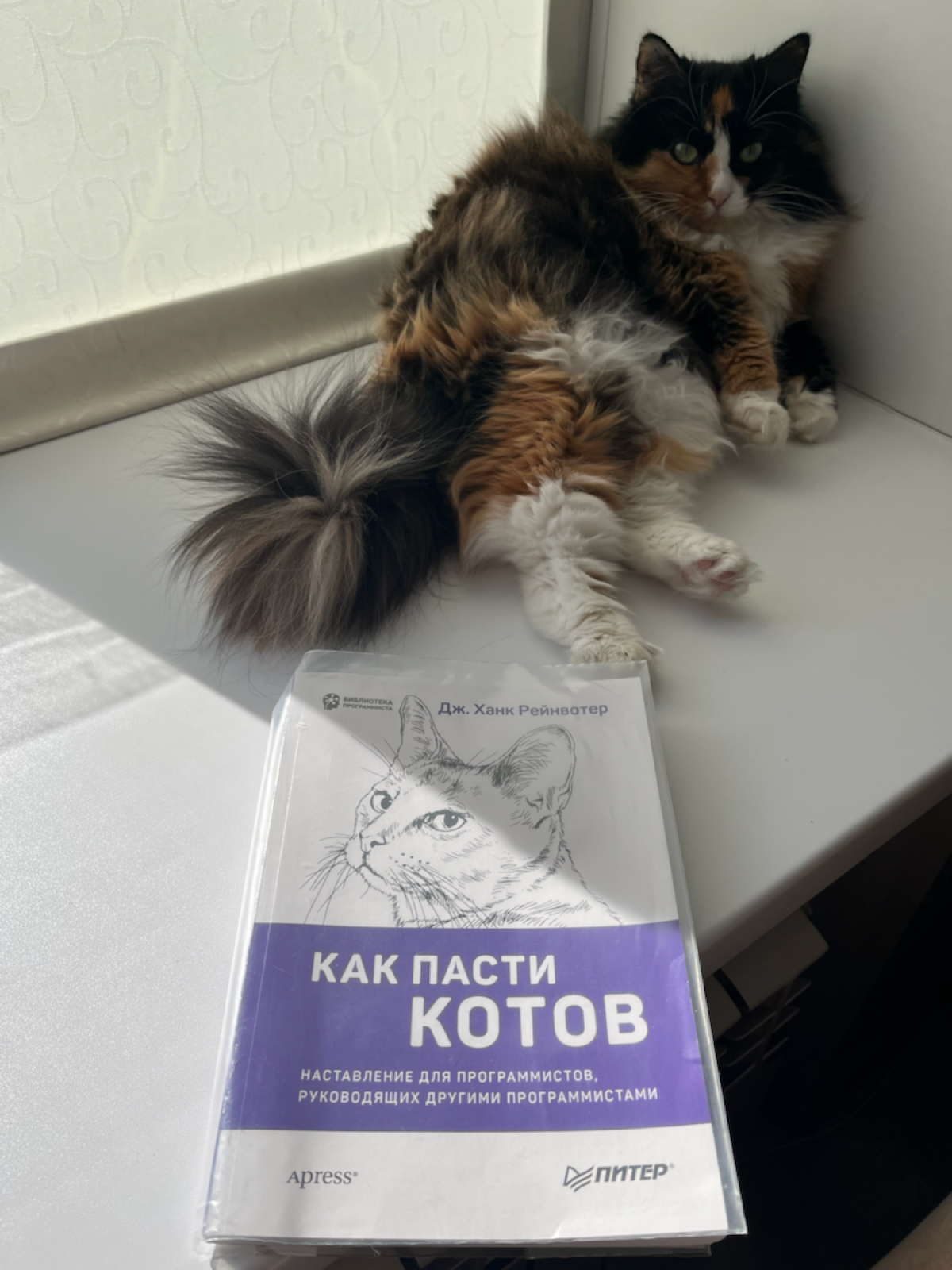 Коллеги QA инженеры, а какие книги кроме литературы по тестированию и автоматизации вы читаете? И в каких смежных направлениях пробуете себя ?
Я в свободное от багоборства и тренировок время читаю "Ка... | Сетка — социальная сеть от hh.ru