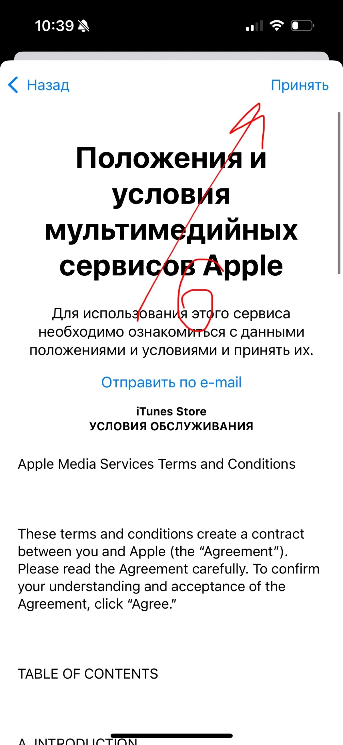 Как установить chat GPT на айфон за 2 минуты | Сетка — социальная сеть от hh.ru