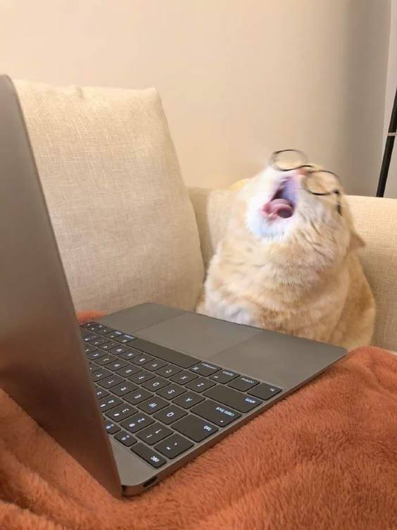 Какие ошибки убивают оффер на финальном этапе
Вы прошли все этапы и… вдруг отказ. Почему так бывает?
📌 ТОП-5 ошибок:
Не согласовали ожидания по зарплате заранее | Сетка — социальная сеть от hh.ru