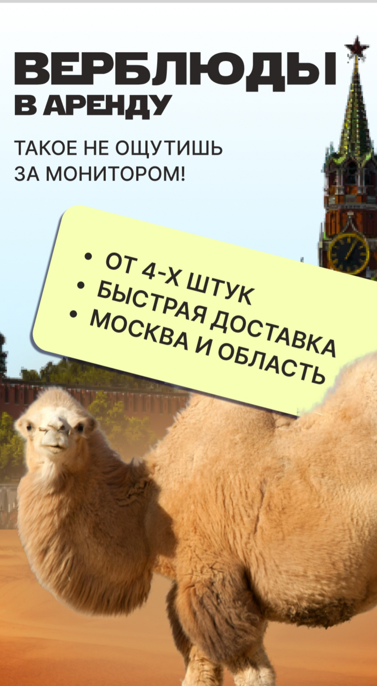 CREATIVE MINUTE #2 | Сетка — социальная сеть от hh.ru