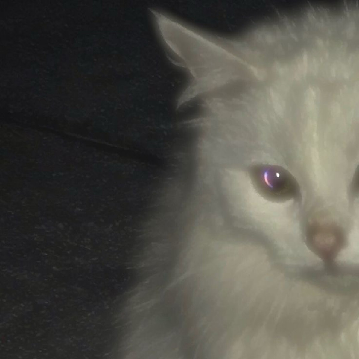 Елизавета Миланова