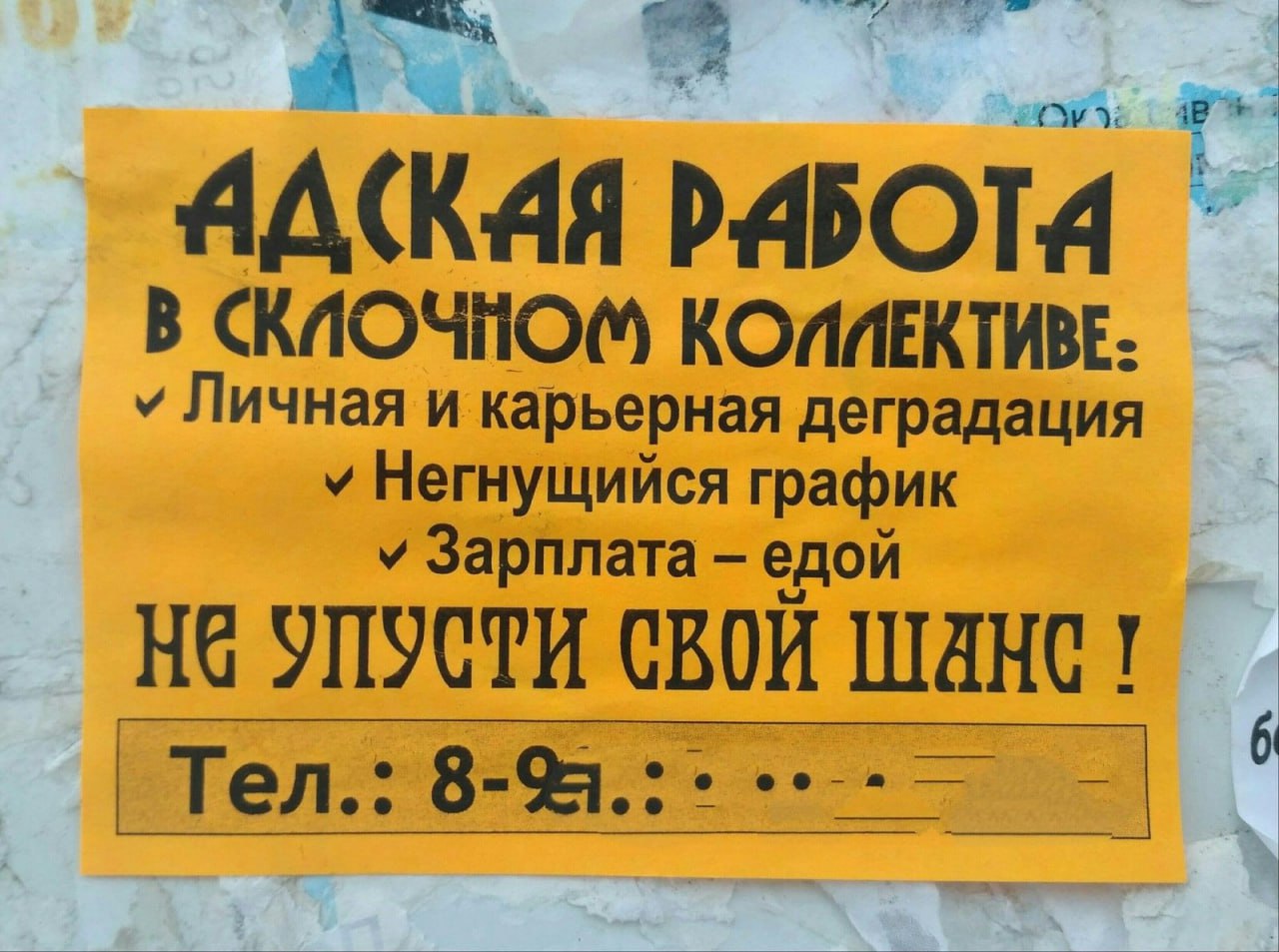 #life #work | Сетка — социальная сеть от hh.ru