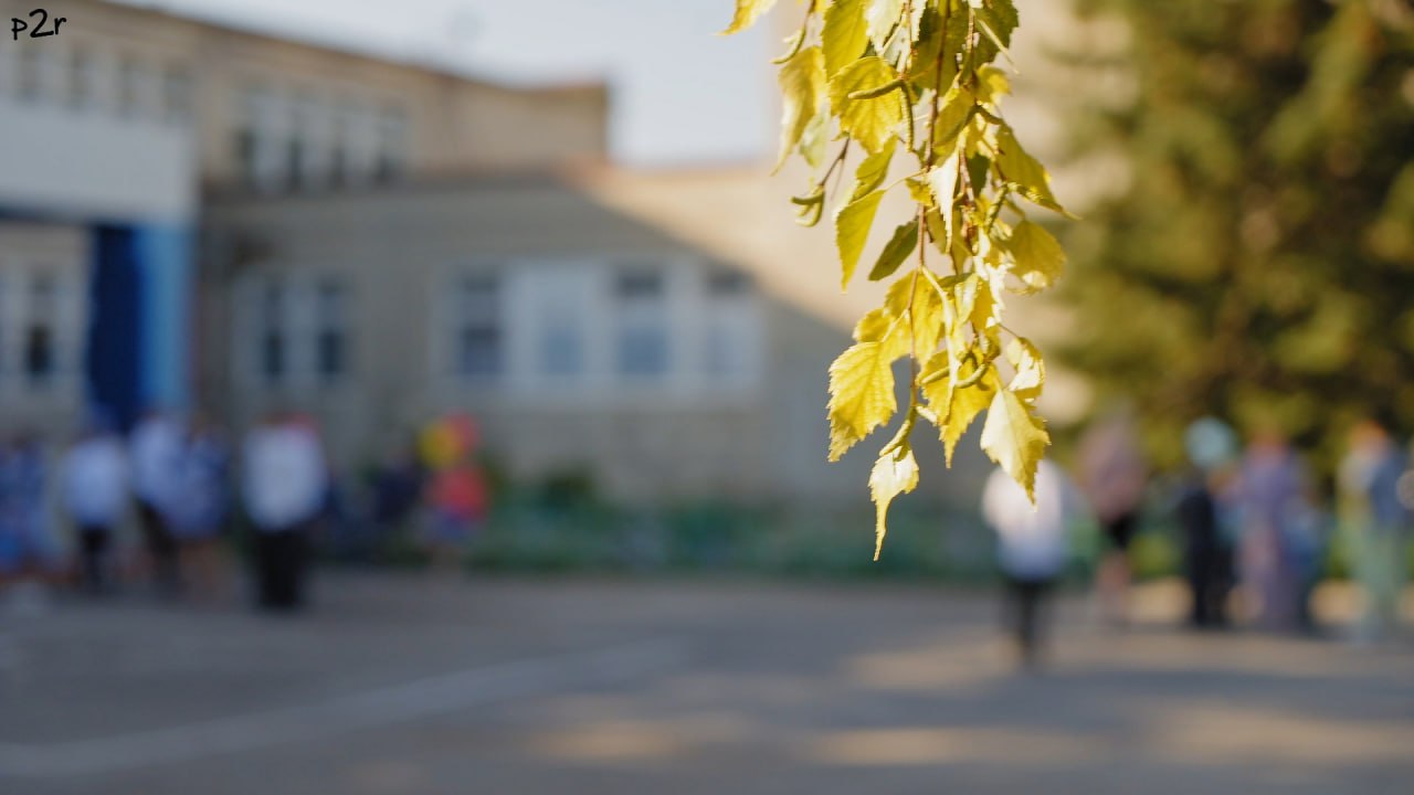 1 сентября — ваш ребёнок главный герой!
Первый звонок, волнение, улыбки и первые школьные впечатления — эти моменты больше не повторятся | Сетка — социальная сеть от hh.ru