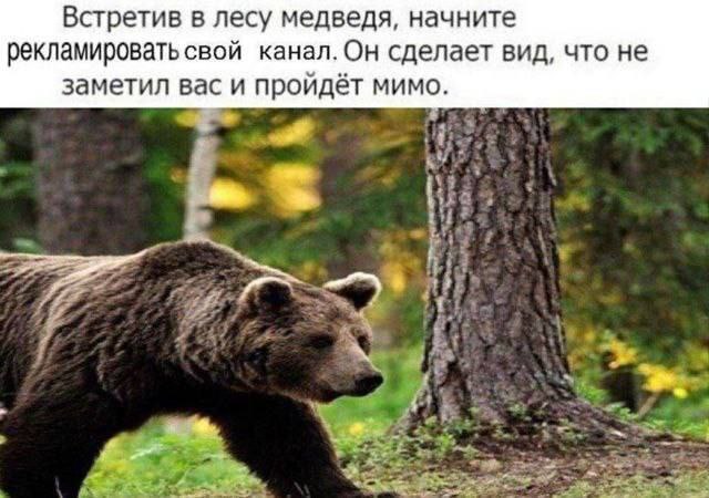 Я, кстати, не только папки закупаю | Сетка — социальная сеть от hh.ru