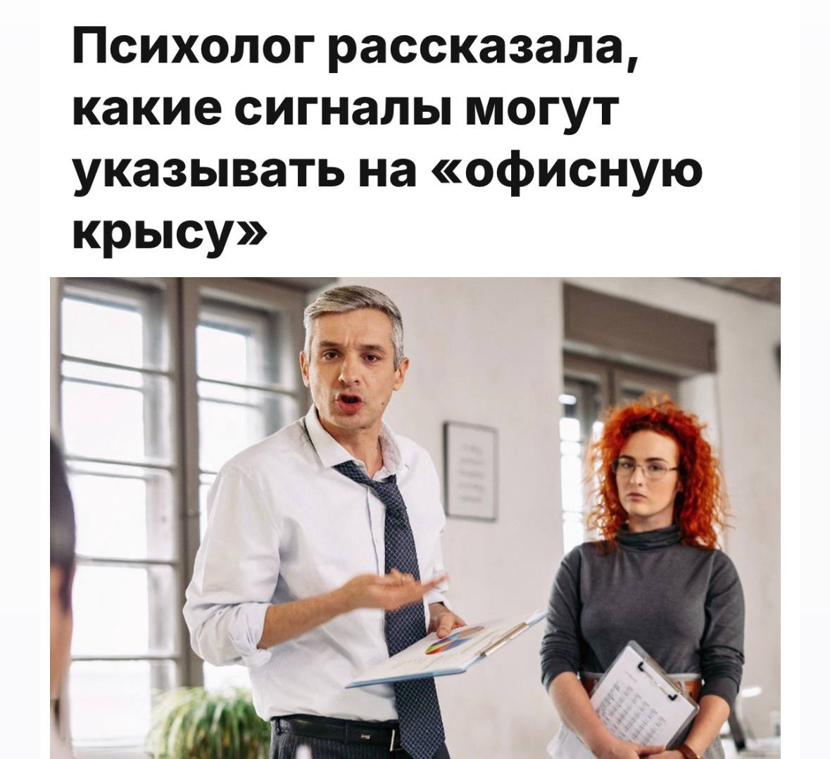 Как распознать офисную крысу | Сетка — социальная сеть от hh.ru