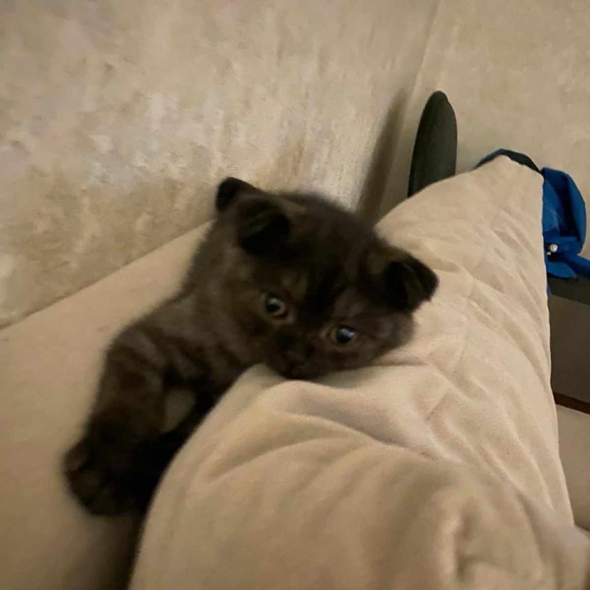 Милана Хаметова