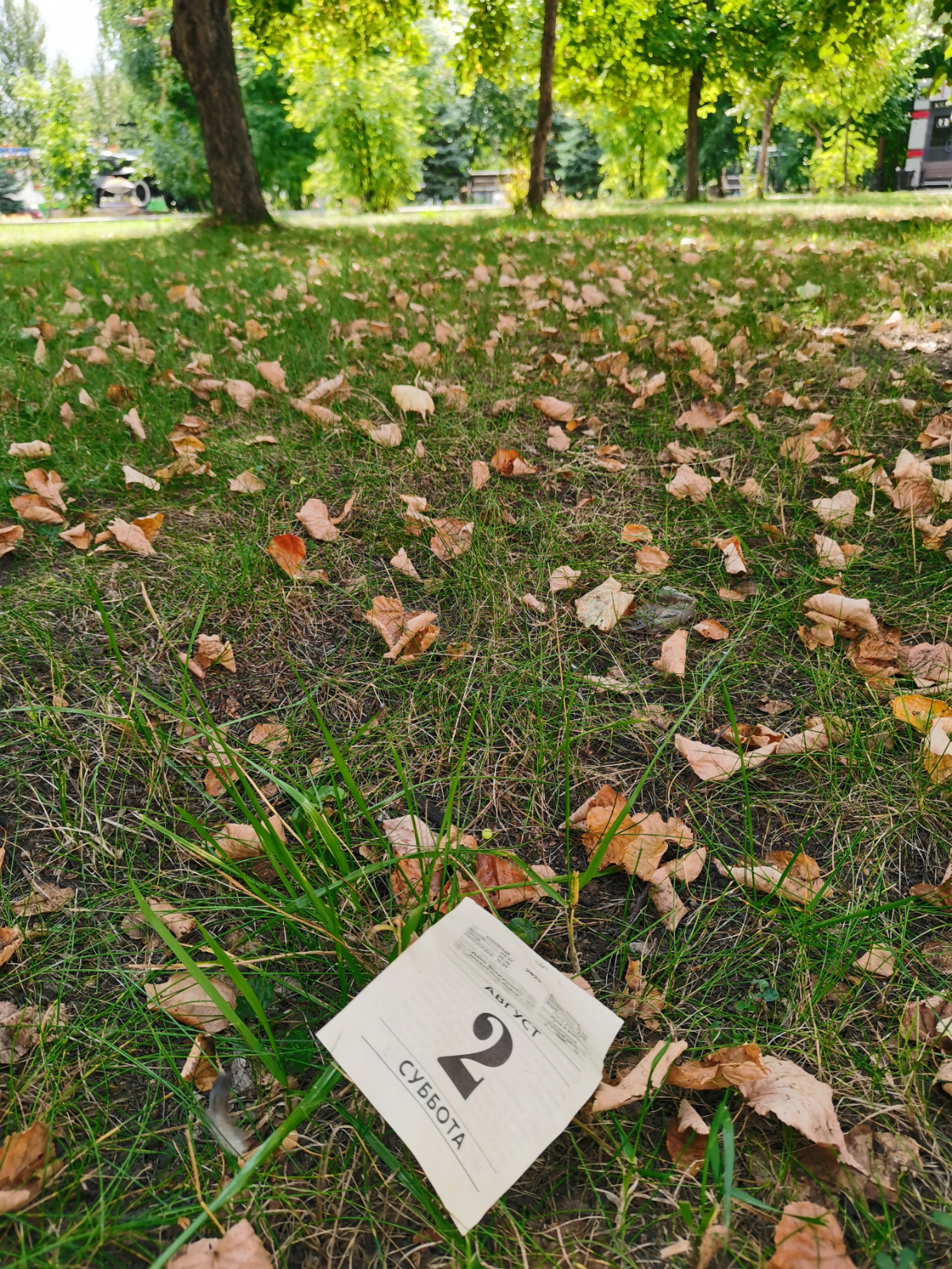 Периодически подвожу итоги не только в бизнесе, но и в жизни. И это не обязательно итоги года. Причём это - не мысли в голове, а изложенная на бумаге информация | Сетка — социальная сеть от hh.ru