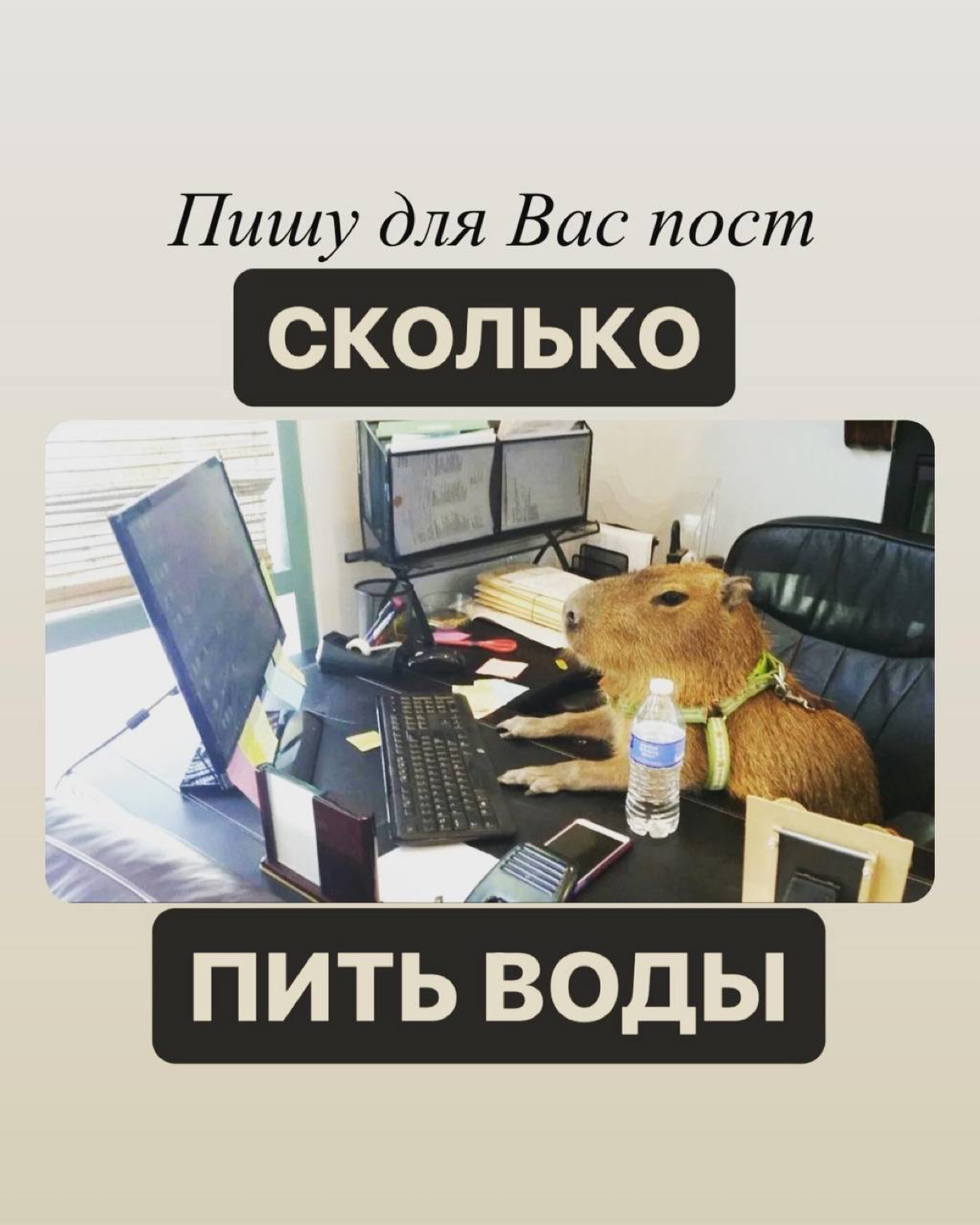 Сколько пить воды | Сетка — социальная сеть от hh.ru