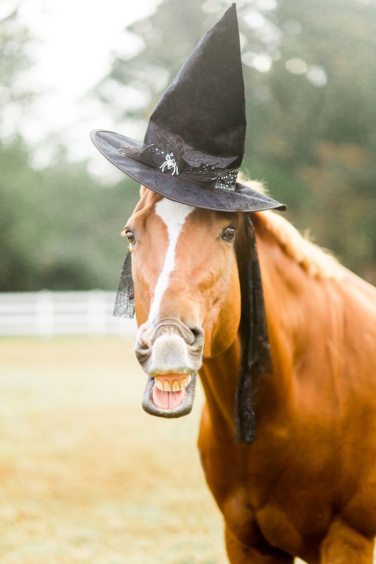 Слово «кошмар» — произошло от французского Cauchemar, которое означает то же самое (страшные/плохие сны). Собственно, это не секрет, что слово заимствованное | Сетка — социальная сеть от hh.ru