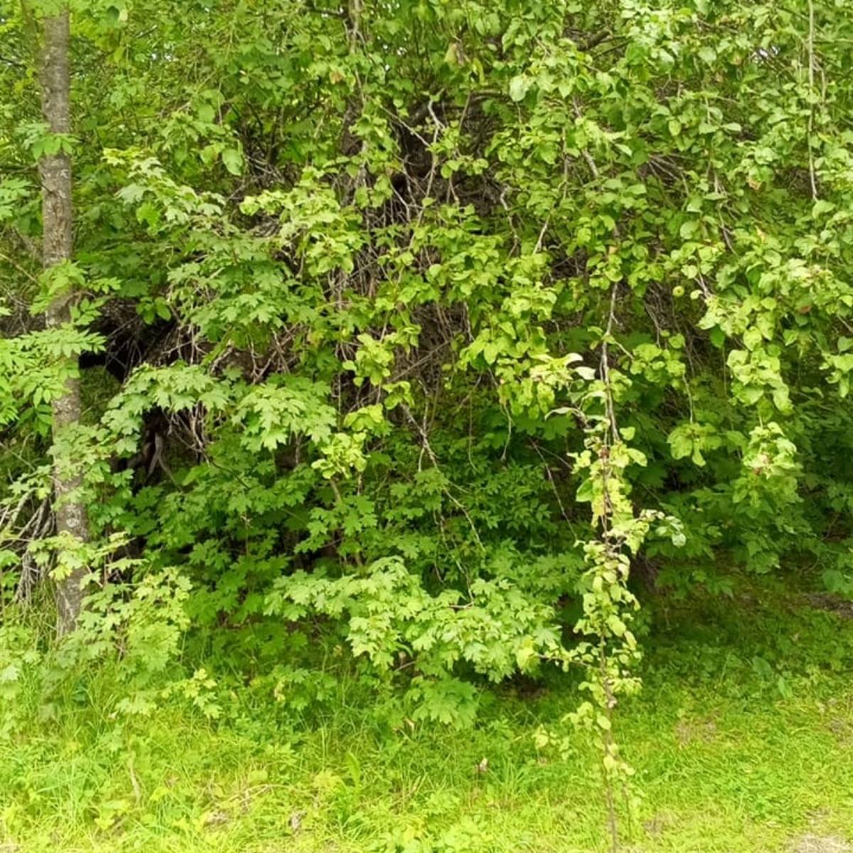 Ксения Кудинова | Сетка — социальная сеть от hh.ru