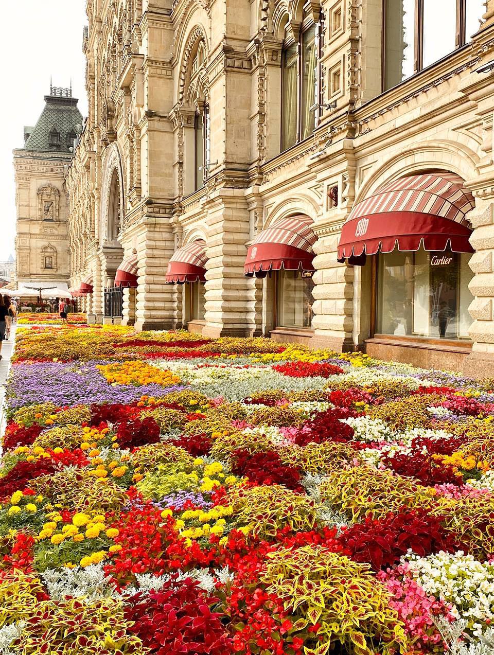 🌷Шикарные цветочные ковры на Никольской
Делитесь вашими фотографиями летней Москвы в комментариях
📲Подпишитесь на Вдвижении
#бесплатно
В этом посте были ссылки, но мы их удалили по правилам Сетки | Сетка — социальная сеть от hh.ru