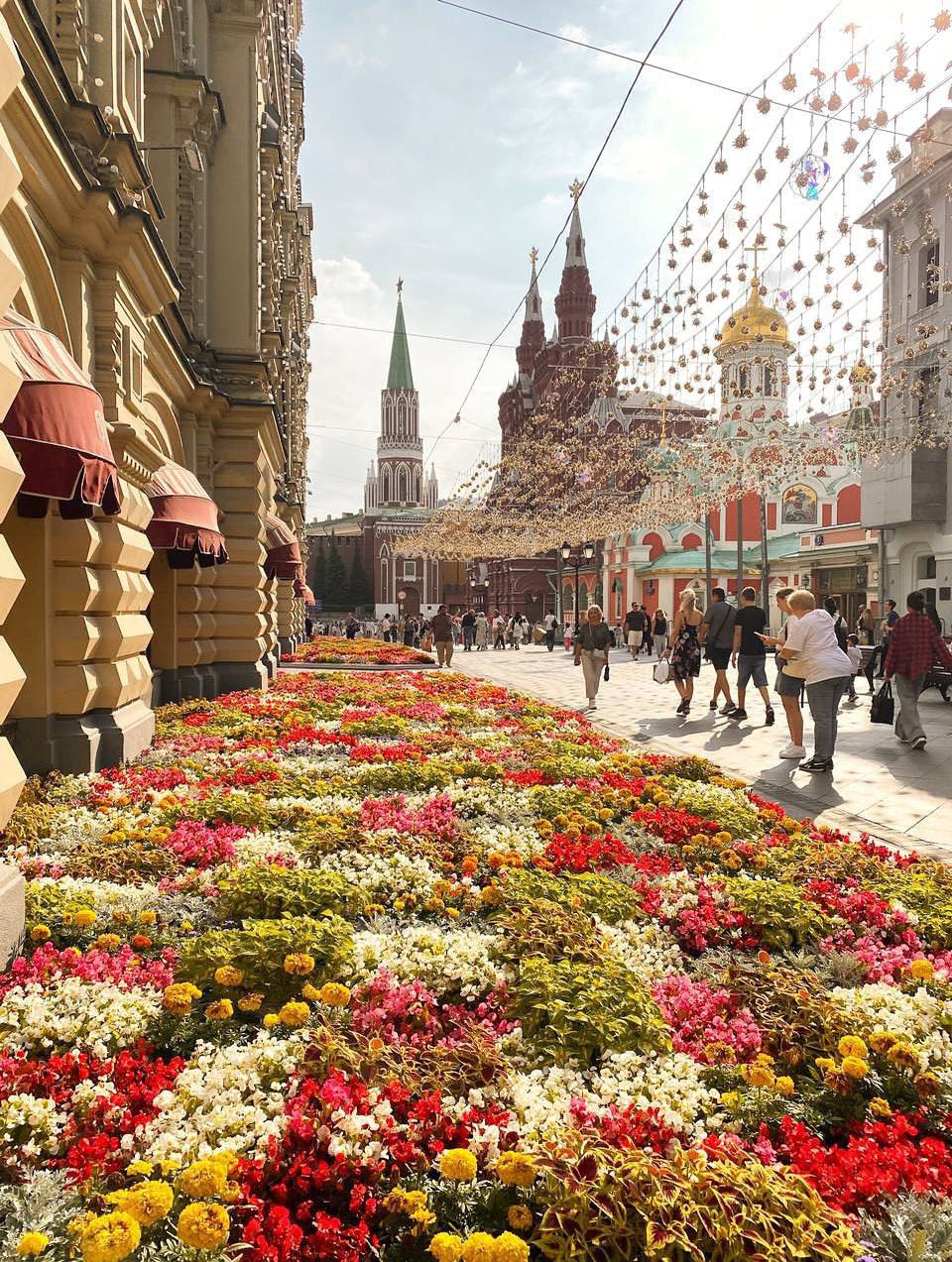 🌷Шикарные цветочные ковры на Никольской
Делитесь вашими фотографиями летней Москвы в комментариях
📲Подпишитесь на Вдвижении
#бесплатно
В этом посте были ссылки, но мы их удалили по правилам Сетки | Сетка — социальная сеть от hh.ru
