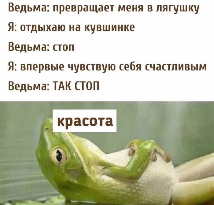 Поспали- можно и поесть, поели- можно и поспать) ликалепни🤣 | Сетка — социальная сеть от hh.ru