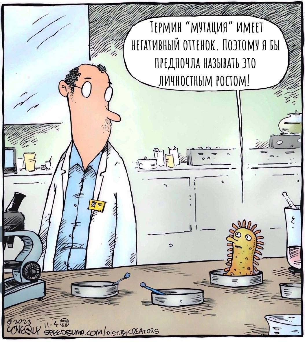 Кто тебя создал такую... | Сетка — социальная сеть от hh.ru