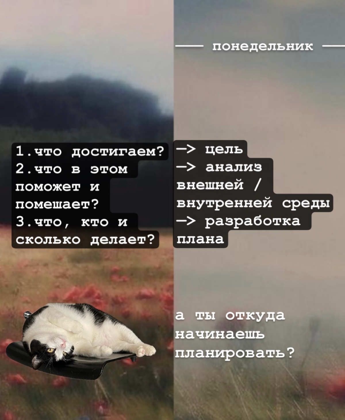 Понедельник | Сетка — социальная сеть от hh.ru