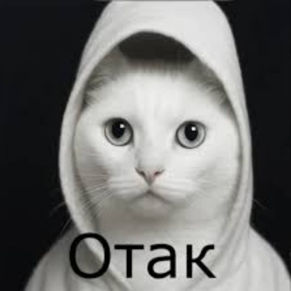 Елена Соловьева